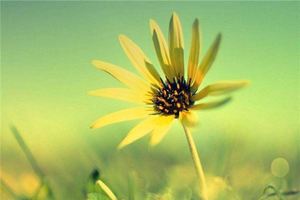 天干地支五行對照表