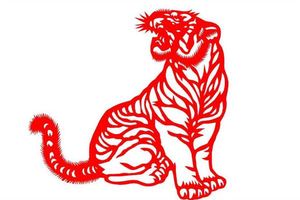 屬虎的人五行與命運