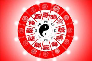 生肖和五行之間的關係