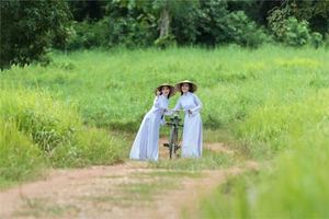 壬辰日五行屬什麼