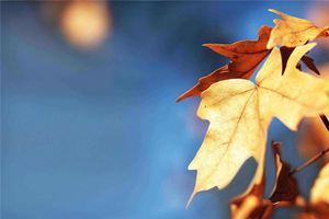 五行缺火的人怎麼補