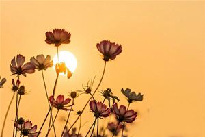 八字的相生相剋准嗎