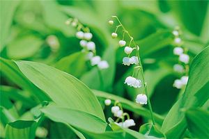 八字五行偏缺，該如何得當相補？