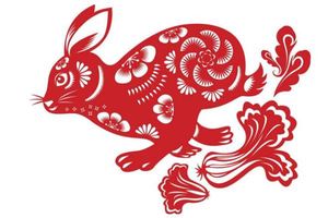 屬兔的人五行與命運