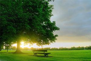 五行缺木怎麼辦