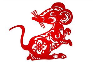 屬鼠的人五行與命運