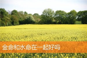 金命和水命在一起好嗎