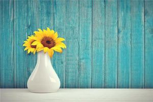 午卯相破的條件