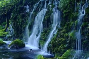 八字五行缺水怎麼辦