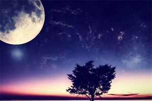 年命生肖五行查詢表