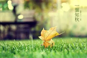 八字木多金少判斷旺衰定格局嗎？