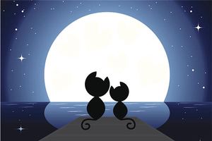 男火女土的夫妻誰旺誰