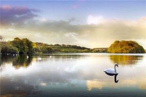 五行缺金怎麼辦